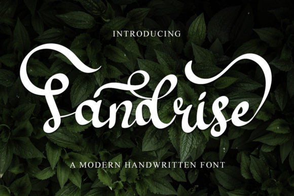 Sandrise Font Poster 1