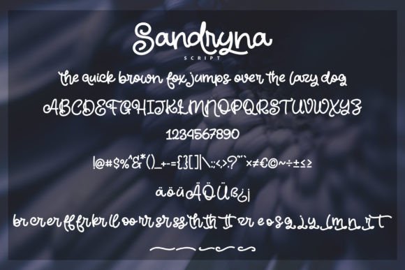 Sandryna Font Poster 5