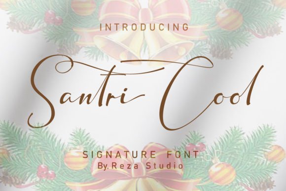 Santri Cool Font