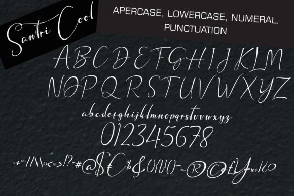 Santri Cool Font Poster 13