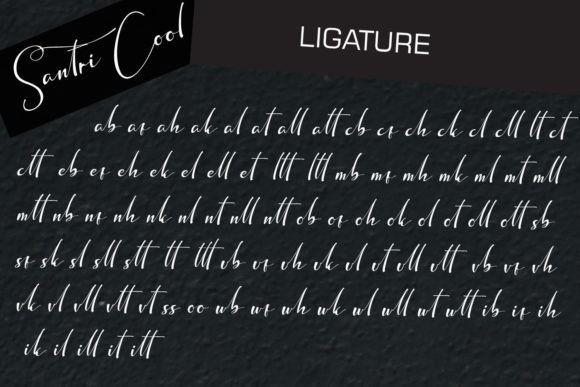 Santri Cool Font Poster 14