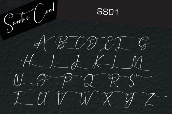 Santri Cool Font Poster 15