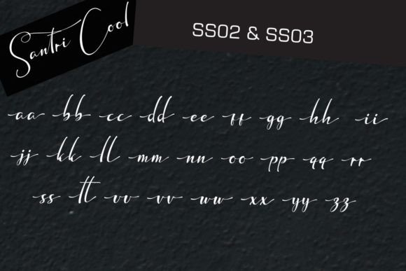Santri Cool Font Poster 16