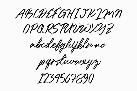 Sarpin Wonder Font Poster 5