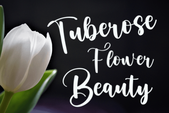 Saturday Font Poster 3