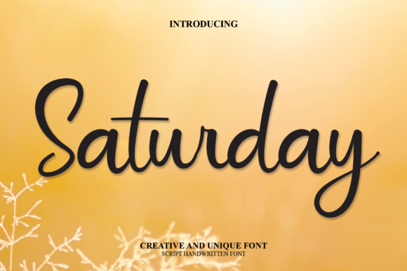 Saturday Font Poster 1