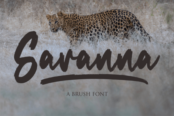 Savanna Font Poster 1