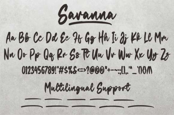 Savanna Font Poster 2