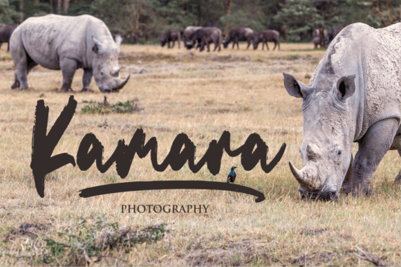 Savanna Font Poster 5