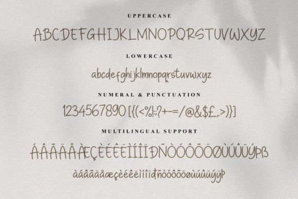 Scarcely Font Poster 3