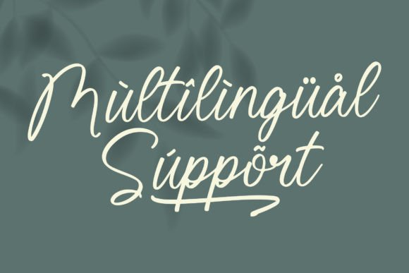 Schottely Font Poster 12