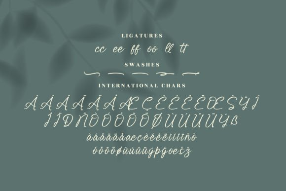 Schottely Font Poster 14