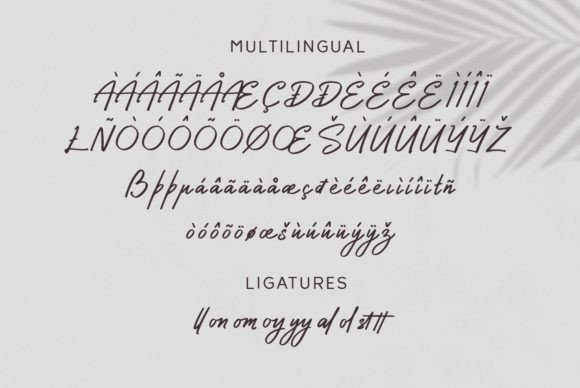 Secrettary Tunisha Font Poster 6