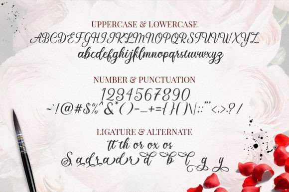 Sedatty Font Poster 8