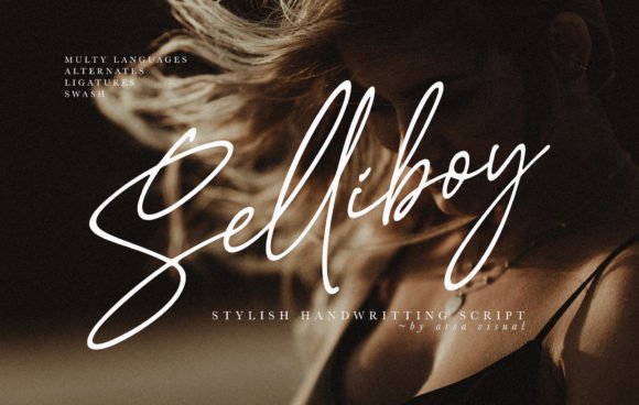 Selliboy Font Poster 1