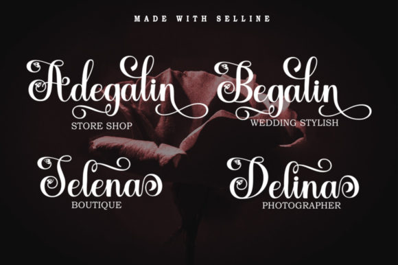 Selline Script Font Poster 5