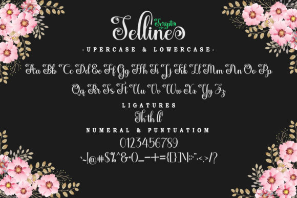 Selline Script Font Poster 7