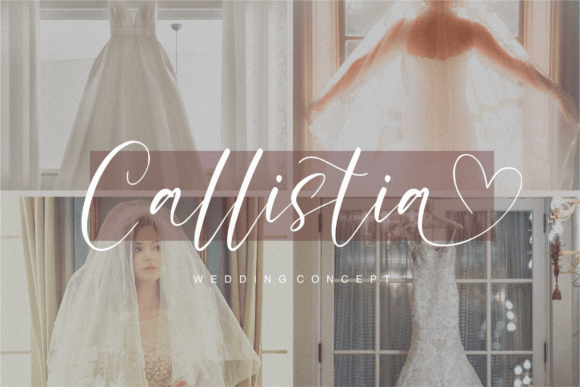 Sellove Font Poster 7