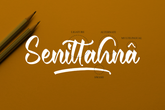 Senittahna Font Poster 12