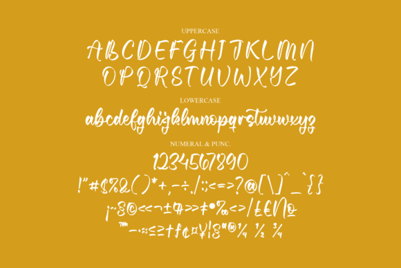 Senittahna Font Poster 13