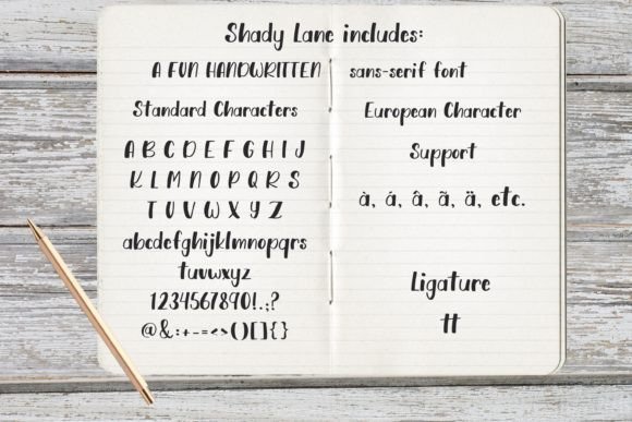 Shady Lane Font Poster 9