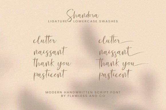 Shandora Font Poster 8