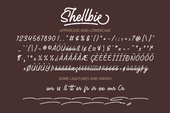 Shellbie Font Poster 9