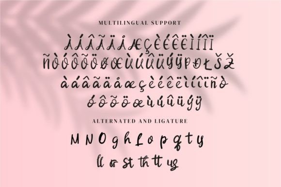 Shellya Cristin Font Poster 6