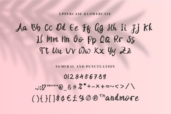 Shellya Cristin Font Poster 7