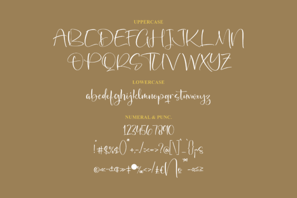 Shenaritta Font Poster 13