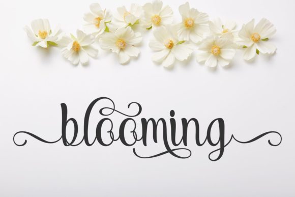 Sheyola Font Poster 3