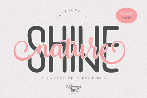 Shine Nature Font Poster 1