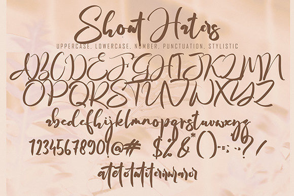 Shout Haters Font Poster 8