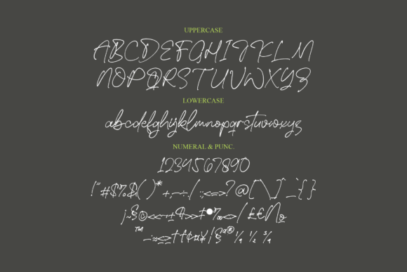 Signathing Font Poster 13