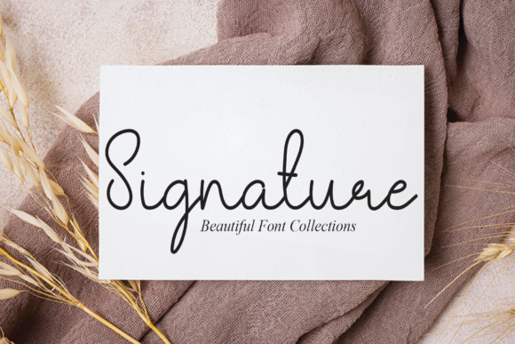 Signature Writing Font Poster 5