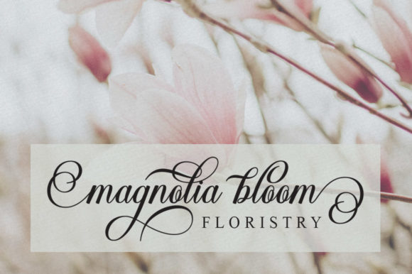 Silentha Font Poster 4