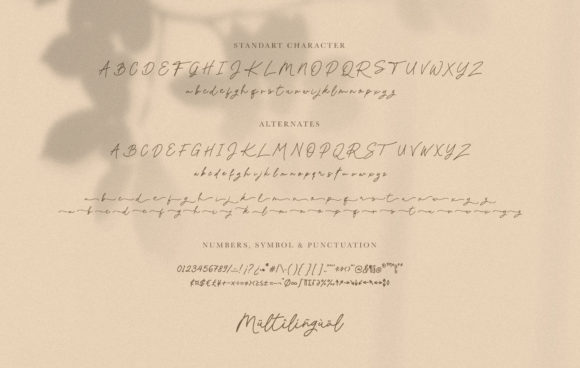 Sillvana Font Poster 8