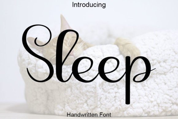 Sleep Font Poster 1