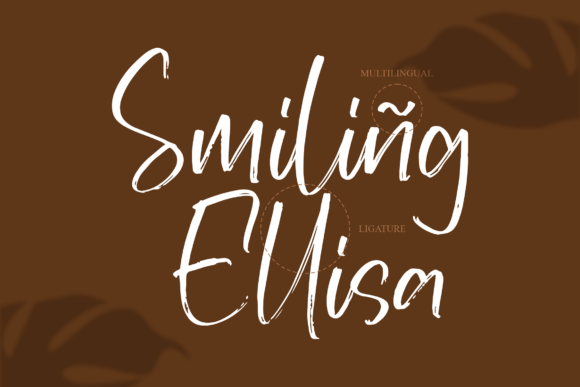 Smiling Elida Font Poster 11