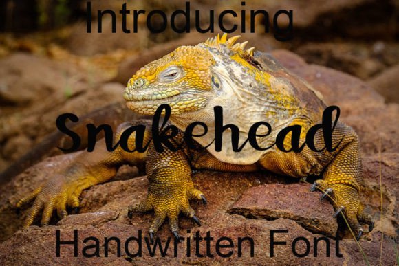 Snakehead Font Poster 1
