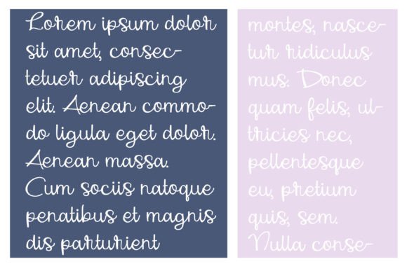 Snapshot Font Poster 4