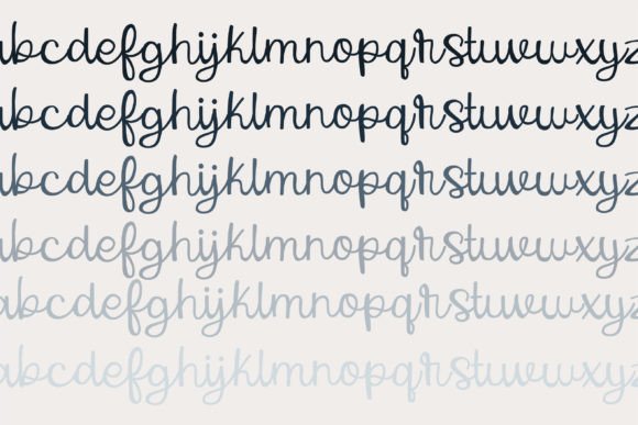 Snapshot Font Poster 5