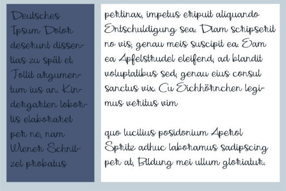 Snapshot Font Poster 7