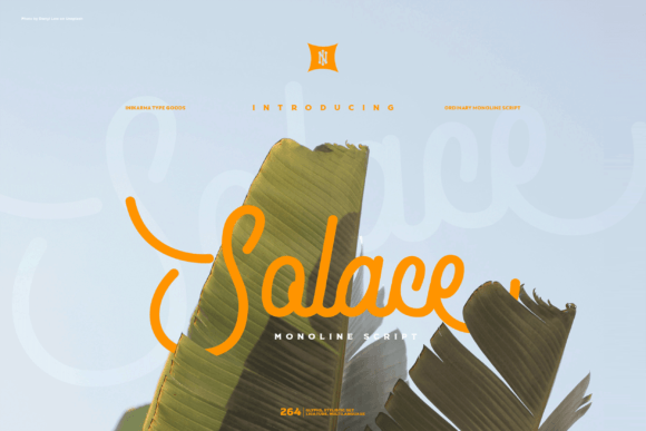 Solace Font Poster 1
