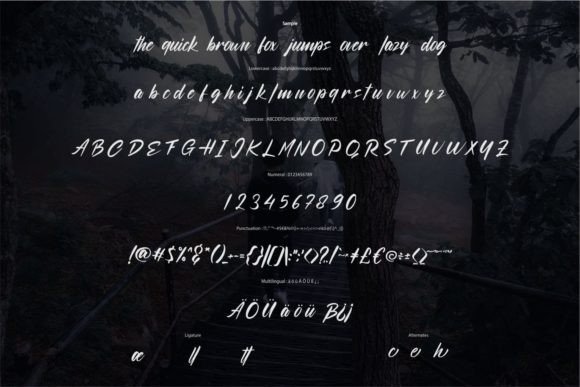 Sollute Font Poster 6