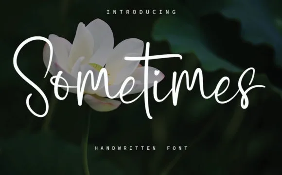 Sometimes Font Sometimes Font Poster 1