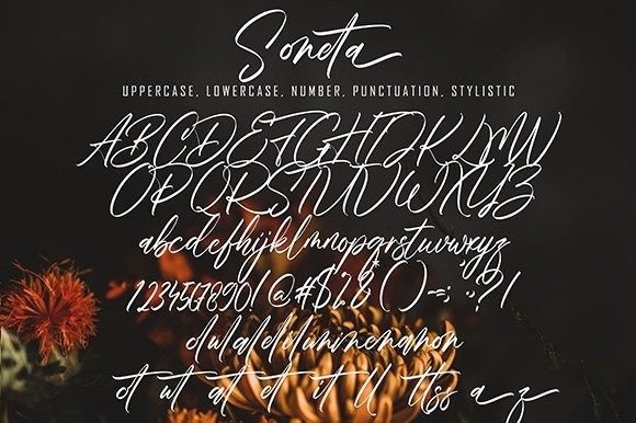 Soneta Font Poster 9