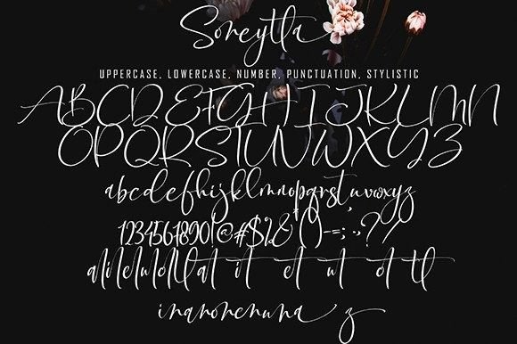 Soneytta Font Poster 9