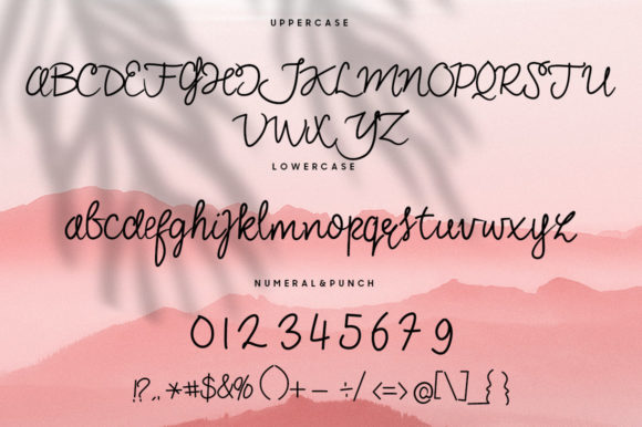 Sonia Script Font Poster 7