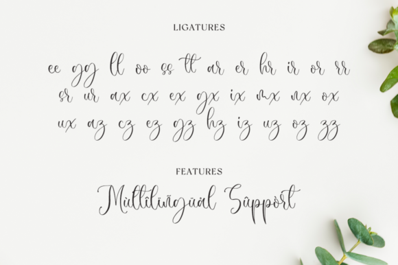 Sophina Font Poster 12